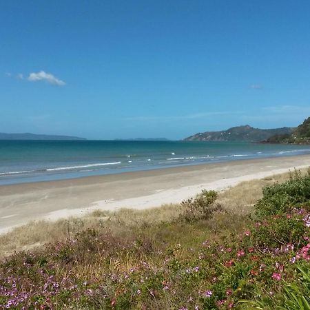 Bed and Breakfast Waimaire Matarangi Экстерьер фото